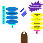 पेप्टिडोमिमेटिक्स: मस्तिष्क रोगों के इलाज में भारतीय वैज्ञानिकों की नई खोज