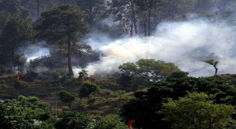 पाकिस्तान का संघर्ष विराम उल्लंघन और भारतीय सेना की प्रतिक्रिया