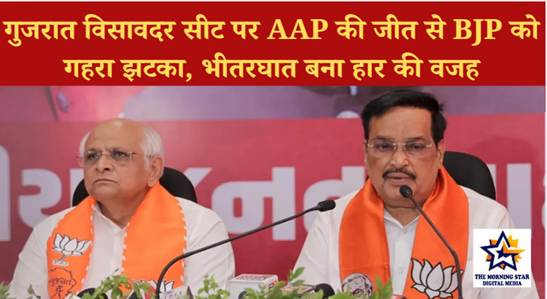 गुजरात की विसावदर सीट पर AAP की जीत से भाजपा को बड़ा झटका, दलबदलुओं ने किया भीतरघात