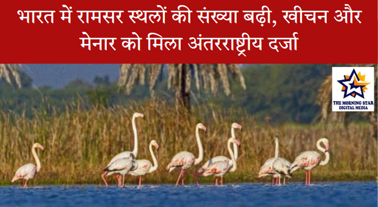 खीचन वेटलैंड में डेमोज़ेल क्रेन पक्षी