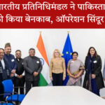 ब्रसेल्स में भारतीय प्रतिनिधिमंडल और यूरोपीय संसद की उपाध्यक्ष की बैठक