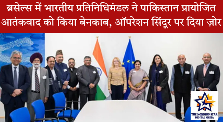 ब्रसेल्स में भारतीय प्रतिनिधिमंडल और यूरोपीय संसद की उपाध्यक्ष की बैठक