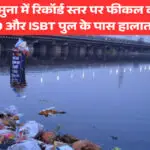 दिल्ली: यमुना में रिकॉर्ड स्तर पर फीकल कोलीफॉर्म प्रदूषण, ITO और ISBT पुल के पास हालात बेहद गंभीर