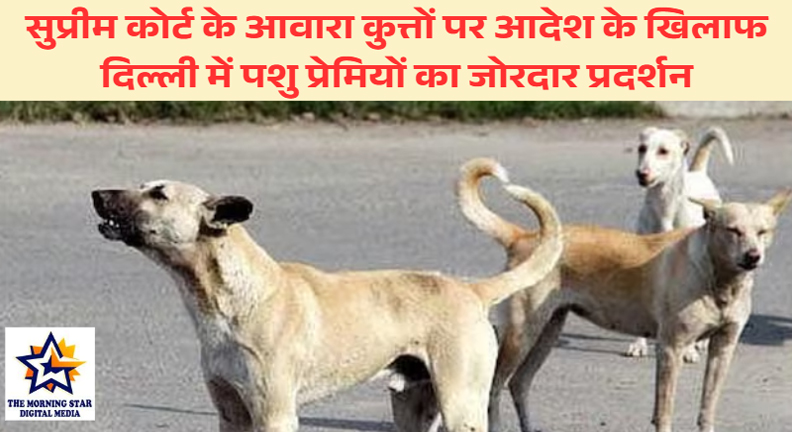 सुप्रीम कोर्ट के आवारा कुत्तों पर आदेश के खिलाफ पशु प्रेमियों का प्रदर्शन