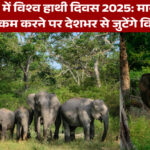 विश्व हाथी दिवस 2025 कोयंबटूर: मानव-हाथी संघर्ष कम करने पर राष्ट्रीय कार्यशाला