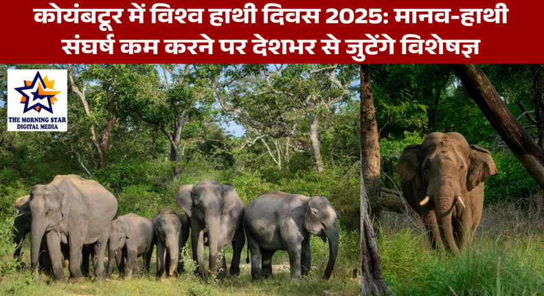विश्व हाथी दिवस 2025 कोयंबटूर: मानव-हाथी संघर्ष कम करने पर राष्ट्रीय कार्यशाला