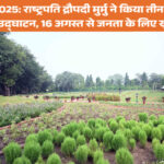 अमृत उद्यान 2025: राष्ट्रपति मुर्मु ने प्लूमेरिया गार्डन, बरगद ग्रोव और बैबलिंग ब्रूक का किया शुभारंभ