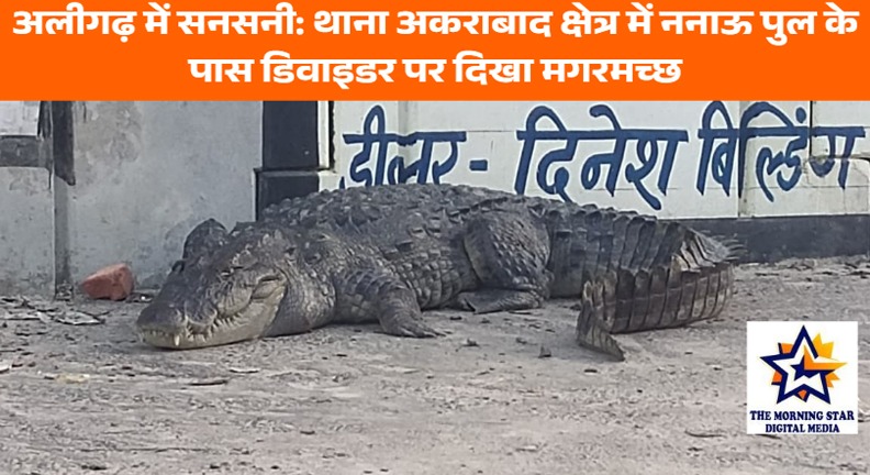 अलीगढ़ मगरमच्छ: अकराबाद थाना क्षेत्र में ननाऊ पुल पर निकला मगरमच्छ, इलाके में मचा हड़कंप