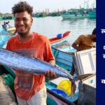 लक्षद्वीप टूना-समुद्री शैवाल इन्वेस्टर मीट