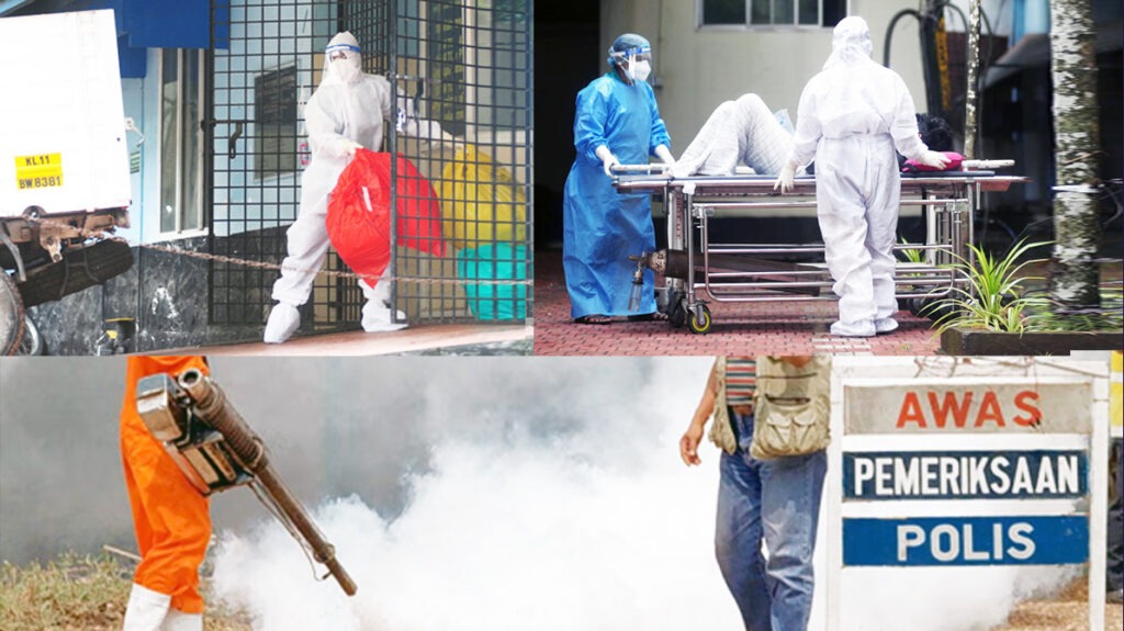 निपाह वायरस क्या है ? भारत में बढ़ता खतरा और जरूरी जानकारी