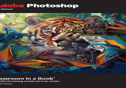 डिजिटल क्लासरूम में छात्र लैपटॉप पर Adobe Firefly, Photoshop और Acrobat Pro का उपयोग करते हुए।