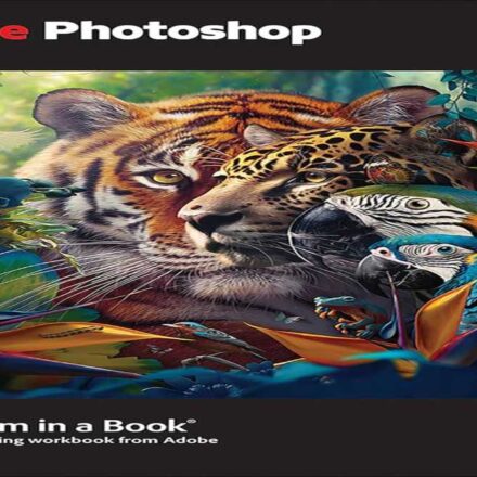 डिजिटल क्लासरूम में छात्र लैपटॉप पर Adobe Firefly, Photoshop और Acrobat Pro का उपयोग करते हुए।