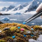अंटार्कटिक प्रायद्वीप का बर्फीला परिदृश्य, जहां मिट्टी और काई में रहने वाले सूक्ष्म कीटों पर माइक्रोप्लास्टिक का प्रभाव देखा गया।