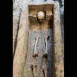 हिमयुग काल के दफन स्थल और प्रयोगशाला में हो रहा प्राचीन DNA विश्लेषण।