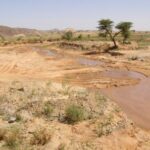 दुनिया में बढ़ते जल संकट को दर्शाती सूखी जमीन, खाली जलाशय और कम होता पानी।