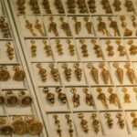 सर्राफा बाजार गिरावट के दौरान भारत में सोना और चांदी के ताजा भाव, जहां गोल्ड और सिल्वर की कीमतों में बड़ी गिरावट देखी गई