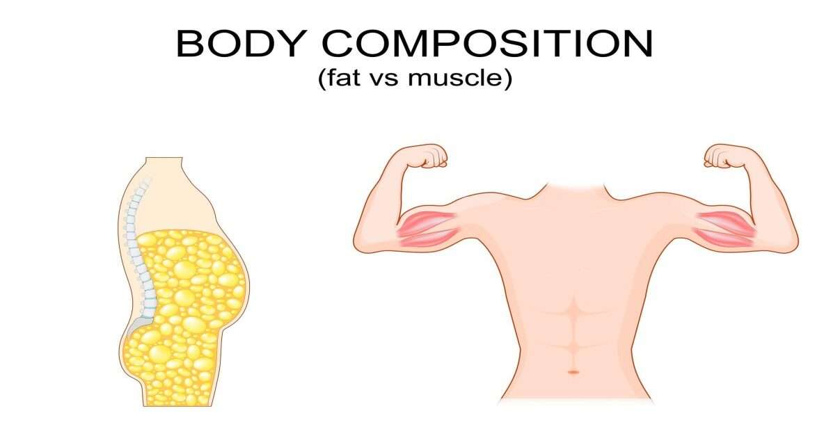 तस्वीरों में बॉडी कंपोजिशन, स्ट्रेंथ ट्रेनिंग और फिटनेस गतिविधियों को दिखाया गया है, जो बेहतर मसल-फैट रेशियो और स्वस्थ जीवनशैली का संकेत देते हैं।