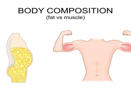 तस्वीरों में बॉडी कंपोजिशन, स्ट्रेंथ ट्रेनिंग और फिटनेस गतिविधियों को दिखाया गया है, जो बेहतर मसल-फैट रेशियो और स्वस्थ जीवनशैली का संकेत देते हैं।