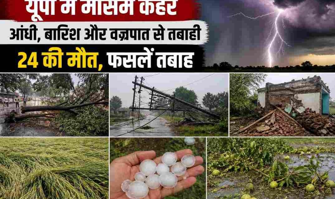 उत्तर प्रदेश के ग्रामीण क्षेत्र में तेज आंधी और बारिश के बाद गिरे पेड़, टूटी बिजली लाइनें और खराब हुई फसलें दिखाती तस्वीर।