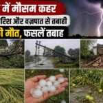उत्तर प्रदेश के ग्रामीण क्षेत्र में तेज आंधी और बारिश के बाद गिरे पेड़, टूटी बिजली लाइनें और खराब हुई फसलें दिखाती तस्वीर।