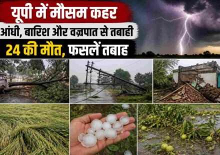 उत्तर प्रदेश के ग्रामीण क्षेत्र में तेज आंधी और बारिश के बाद गिरे पेड़, टूटी बिजली लाइनें और खराब हुई फसलें दिखाती तस्वीर।