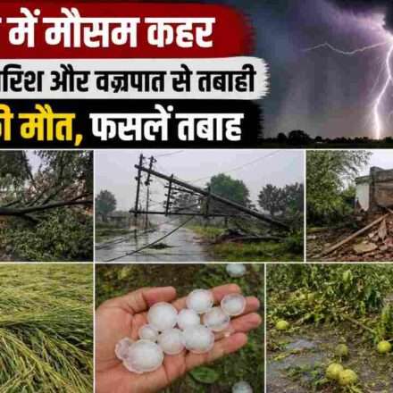 उत्तर प्रदेश के ग्रामीण क्षेत्र में तेज आंधी और बारिश के बाद गिरे पेड़, टूटी बिजली लाइनें और खराब हुई फसलें दिखाती तस्वीर।