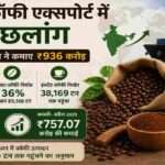 कॉफी बीन्स, इंस्टेंट कॉफी और भारतीय कॉफी निर्यात को दर्शाती प्रतीकात्मक तस्वीर।