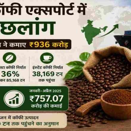 कॉफी बीन्स, इंस्टेंट कॉफी और भारतीय कॉफी निर्यात को दर्शाती प्रतीकात्मक तस्वीर।