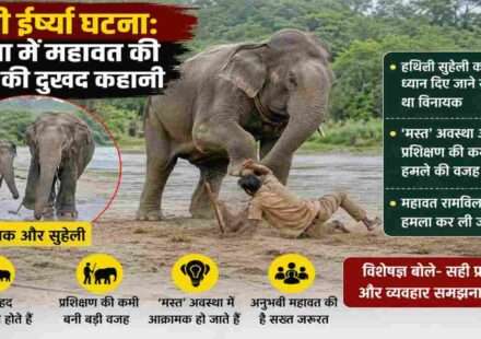 जंगल क्षेत्र में नदी किनारे खड़े हाथी और उनके साथ महावत, जो वन्यजीव प्रबंधन को दर्शाता है।