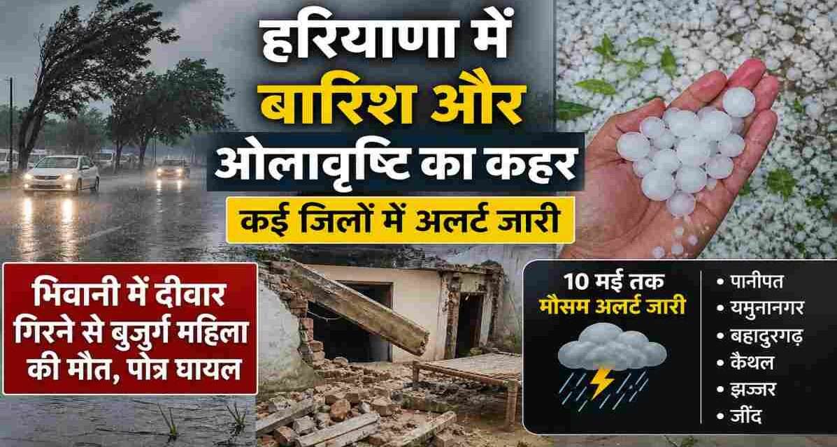 हरियाणा के कई जिलों में बारिश, तेज हवाएं और ओलावृष्टि का असर दिखाई दिया।