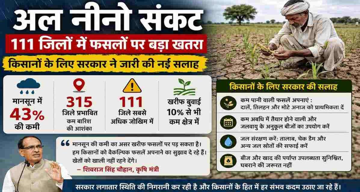 अल नीनो संकट और कमजोर मानसून के प्रभाव से प्रभावित कृषि क्षेत्र का दृश्य, जहां किसान अपनी फसल का निरीक्षण कर रहे हैं।