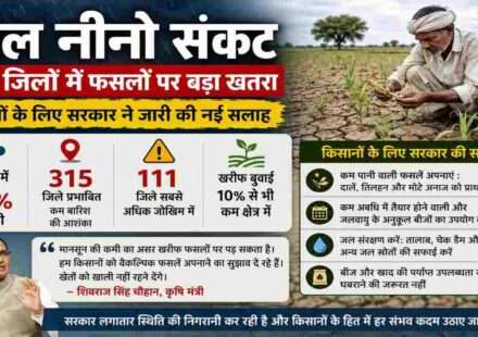 अल नीनो संकट और कमजोर मानसून के प्रभाव से प्रभावित कृषि क्षेत्र का दृश्य, जहां किसान अपनी फसल का निरीक्षण कर रहे हैं।