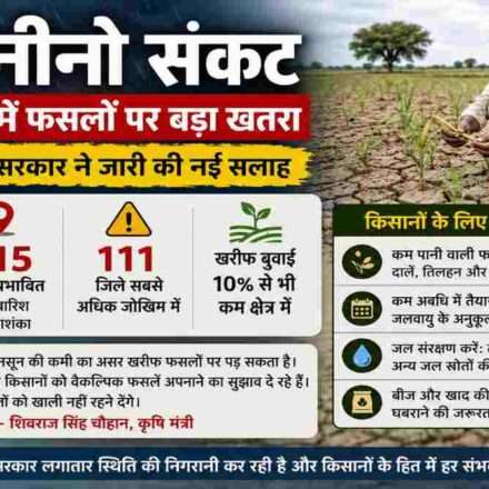 अल नीनो संकट और कमजोर मानसून के प्रभाव से प्रभावित कृषि क्षेत्र का दृश्य, जहां किसान अपनी फसल का निरीक्षण कर रहे हैं।